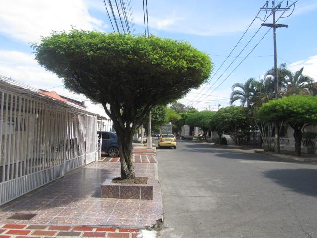 Casa En Venta En Palmira En El Recreo V230641