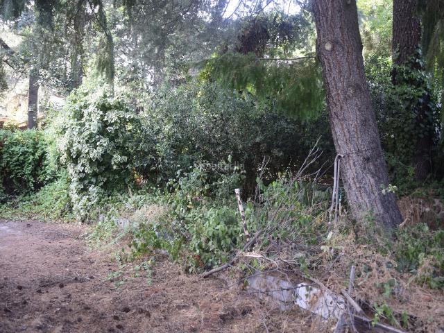 Casa en venta en Pelayos De La Presa, Madrid