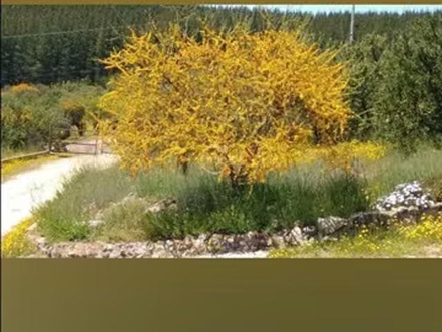 Casa en venta en Pencahue, Maule