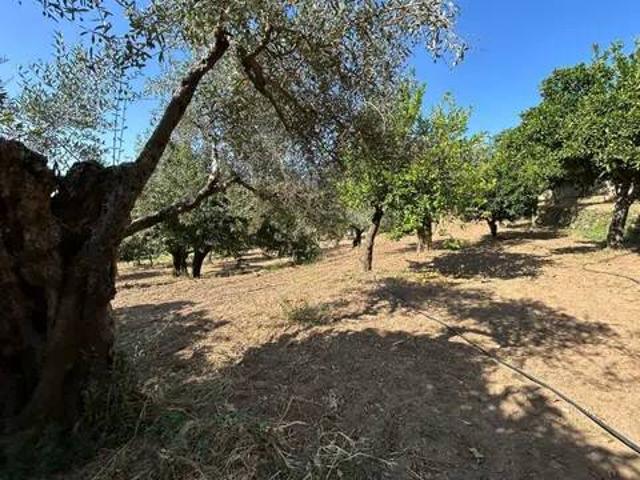 Casa en venta en Perales Del Puerto, Extremadura