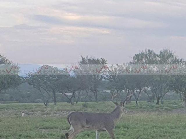 Casa en venta en Pesquería, Nuevo León