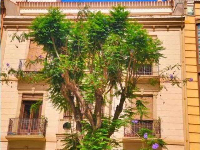 Casa en venta en el Vinalopó Mitjà / El Vinalopó Medio, Valencia