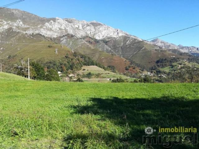 Casa en venta en Peñamellera Alta, Asturias