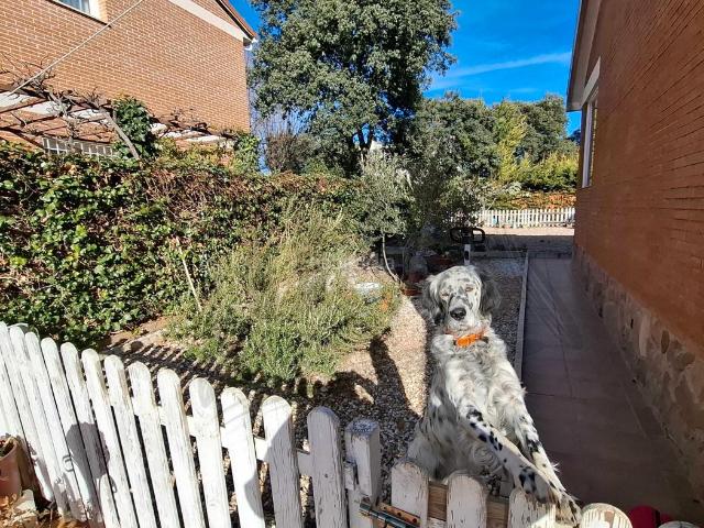 Casa en venta en Madrebuena, Pioz