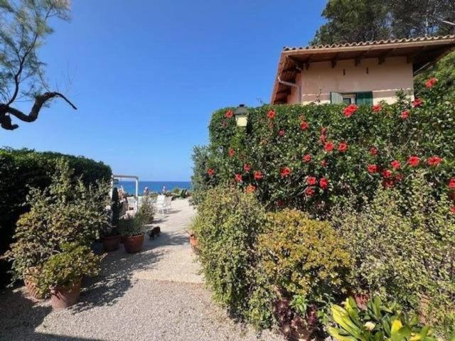 Casa en venta en Serra de Tramuntana, Baleares