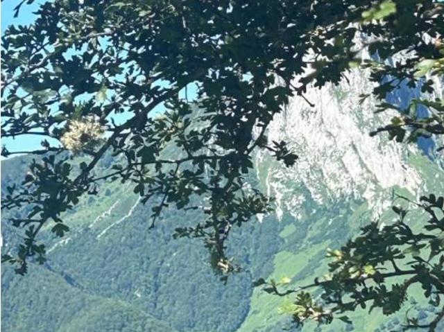 Casa en venta en Ponga, Asturias