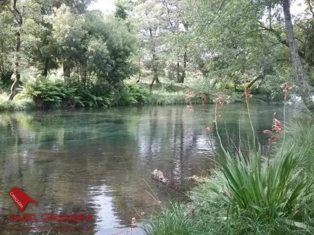 Casa en venta en Pontevedra