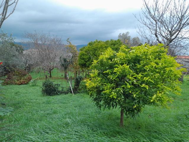 Casa en venta en Casco Antigo, Pontevedra