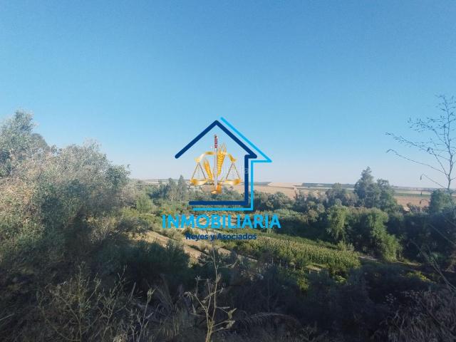 Casa en venta en Posadas, Andalucía