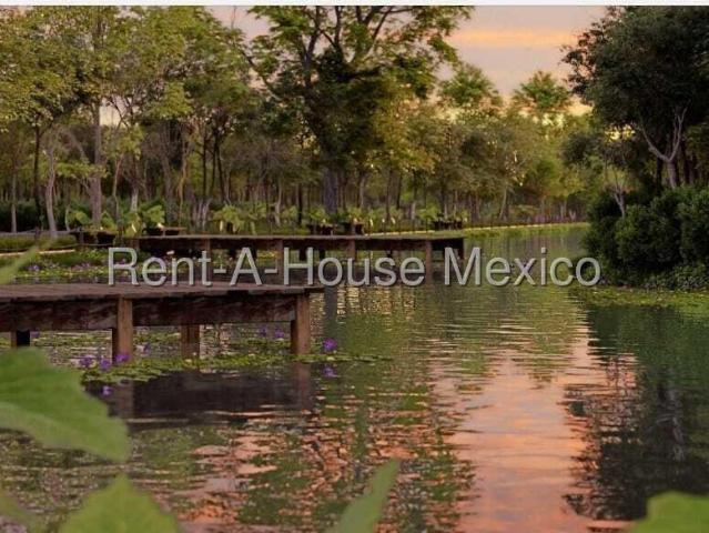 Terreno en venta en Celestún