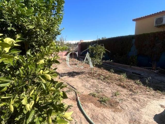 Casa en venta en Barrio de la Isla, Puente Genil