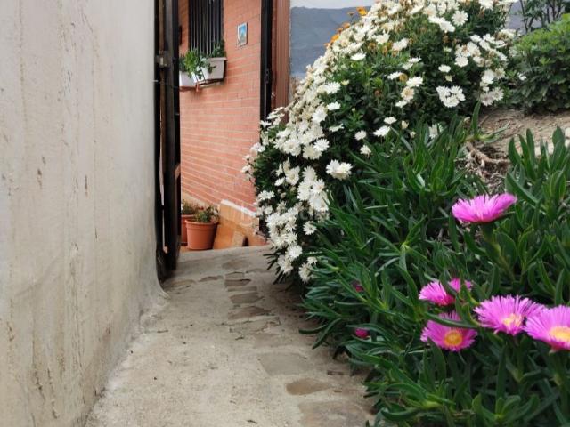 Casa en venta en Comarca de Guadix, Andalucía