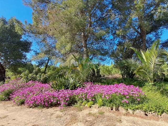 Casa en venta en Alcolea, Baix Camp