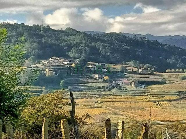 Casa en venta en Ribadavia, Ourense