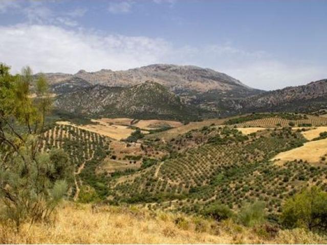 Casa en venta en La Axarquía, Andalucía