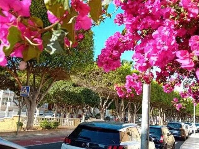 Casa en venta en Roquetas De Mar, Andalucía