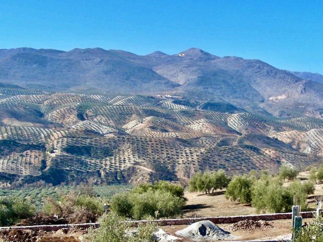 Casa en venta en Comarca de Loja, Andalucía