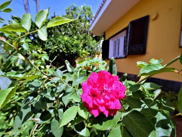 Casa en venta en San Cristóbal de La Laguna, Canarias