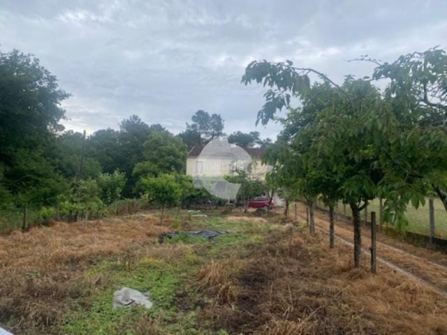 Casa en venta en San Cristovo de Cea, O Carballiño