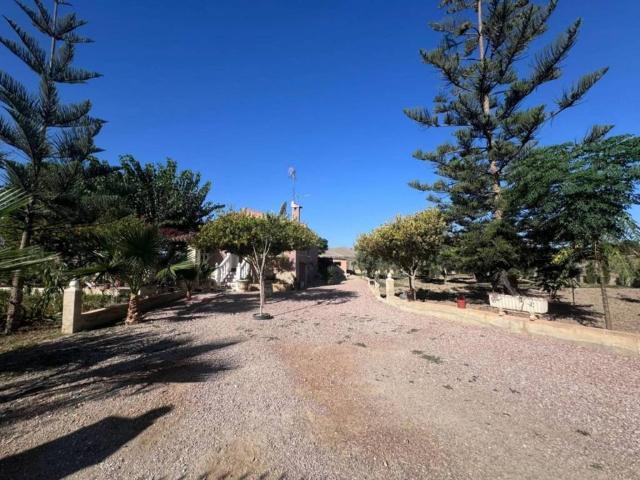 Casa en venta en el Baix Segura / La Vega Baja, Valencia