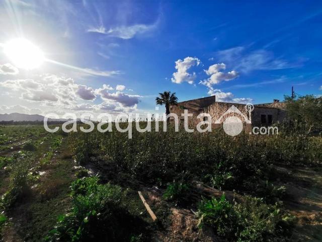 Casa en venta en el Baix Segura / La Vega Baja, Valencia