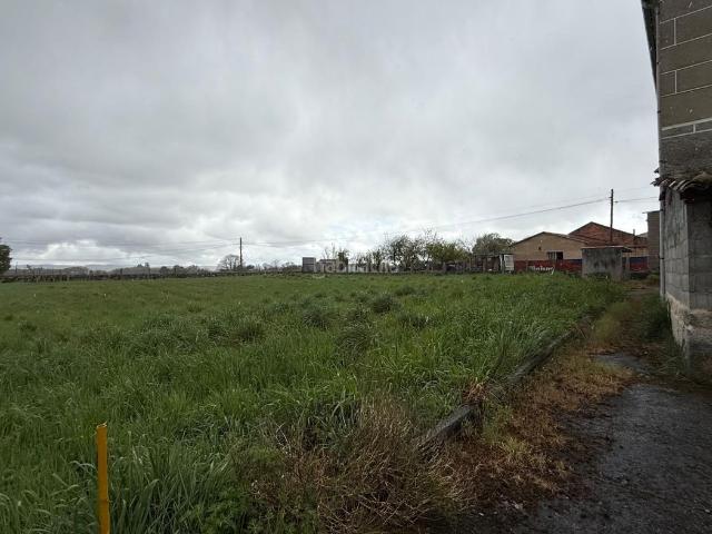 Casa en venta en A Limia, Galicia