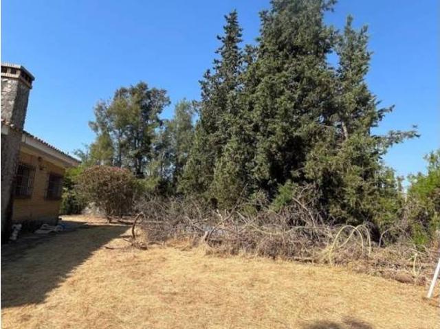 Terreno en venta en Sanlúcar La Mayor, Andalucía