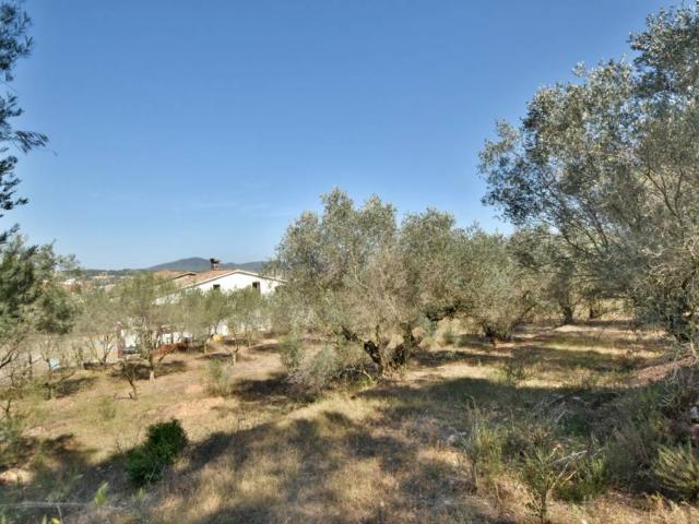 Casa Rural en venta en Baix Llobregat, Catalunya