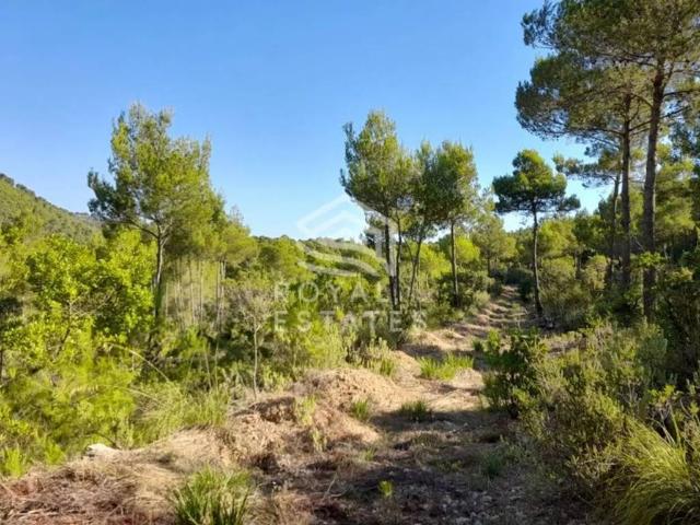 Casa en venta en Sant Carles de Peralta, Eivissa