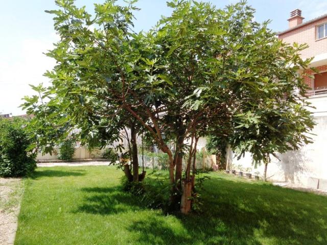 Casa en venta en Santovenia De Pisuerga, Valladolid