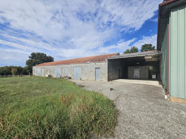 Casa en venta en Sarreaus, Ourense