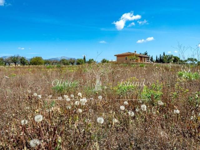 Casa en venta en Sencelles
