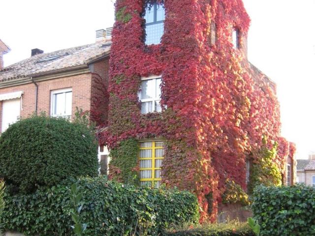 Casa en venta en Simancas