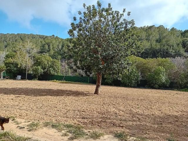 Casa en venta en Garraf, Catalunya