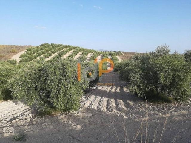 Casa en venta en Sorbas, Andalucía
