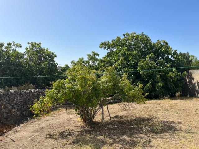 Casa en venta en Llanos de Olivenza, Extremadura