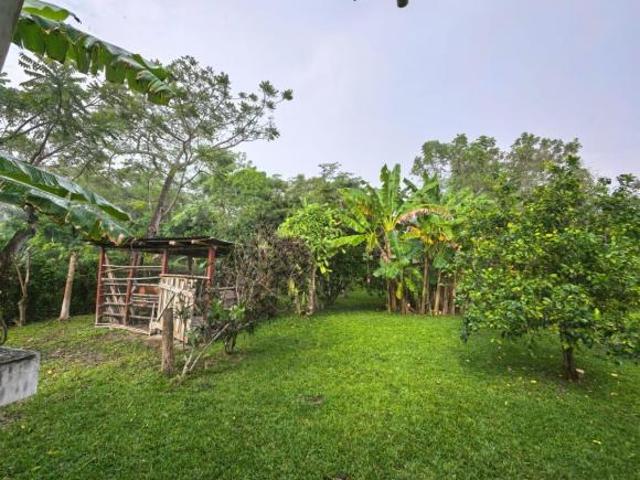 Casa en venta en Tancoco, Llano de en Medio