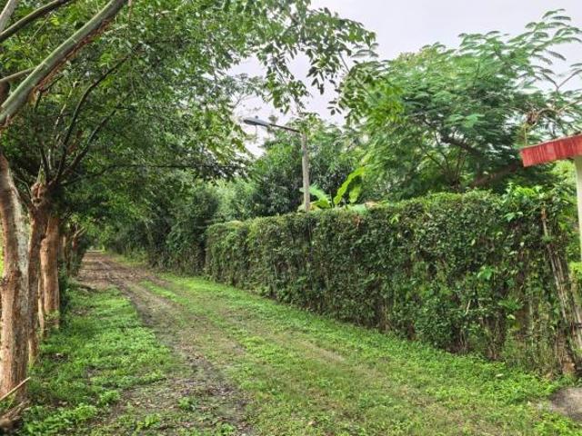 Casa en venta en Tancoco, Llano de en Medio