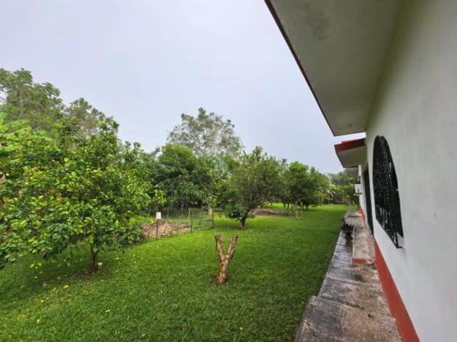Casa en venta en Tancoco, Llano de en Medio