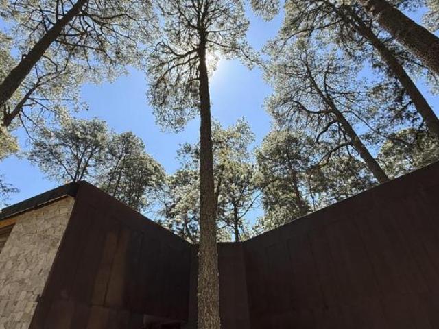Casa en Venta en Tapalpa, Jalisco