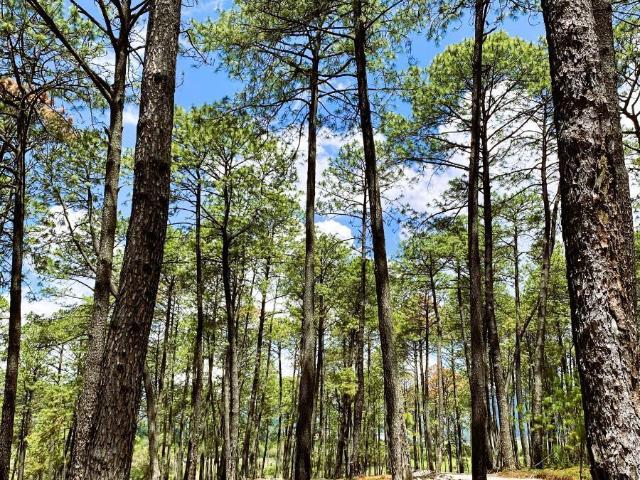Casa en venta en Tapalpa, Jalisco