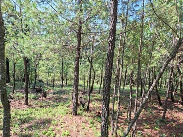 Casa en Venta en Tapalpa, Jalisco