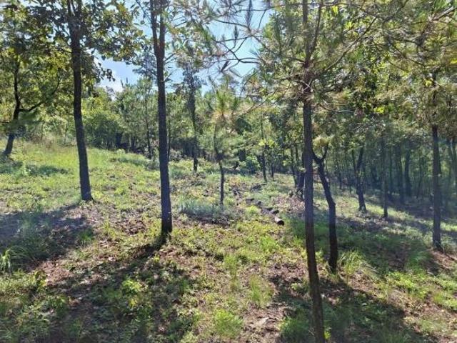 Casa en Venta en Tapalpa, Jalisco