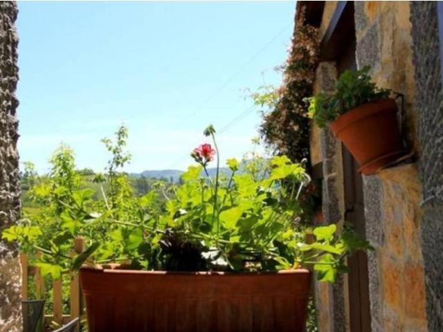 Casa en venta en Cangas De Onís
