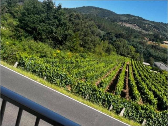 Casa en venta en Ourense, Galicia