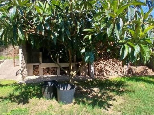 Casa en venta en O Baixo Miño, Galicia
