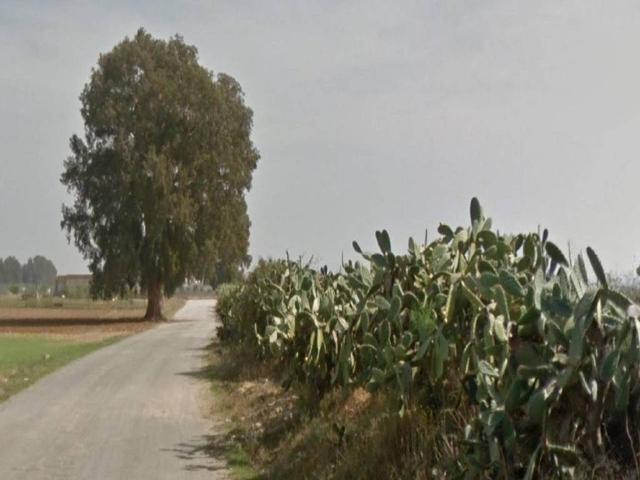 Casa en venta en Utrera, Andalucía