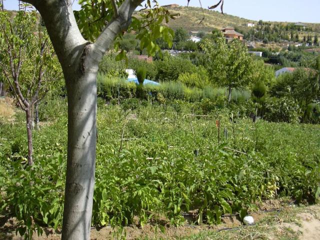 Casa en venta en Valdeavero