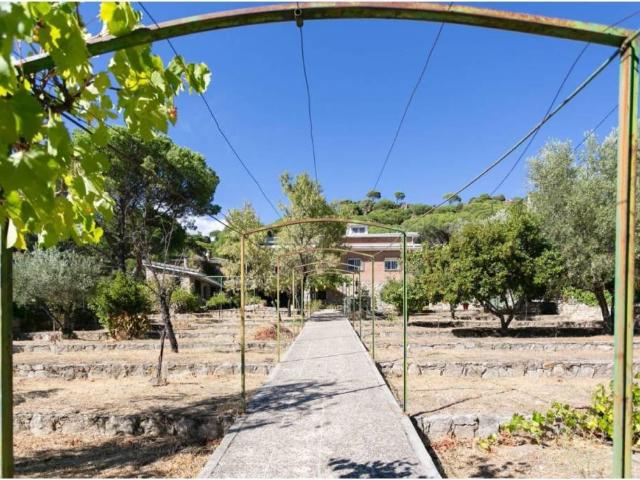 Casa en venta en Valdemaqueda, Madrid