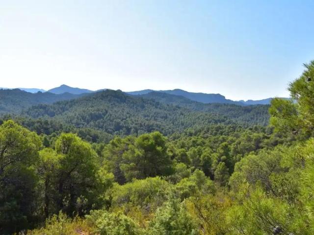 Casa en venta en Valderrobres / Vall de Roures, Matarraña / Matarranya